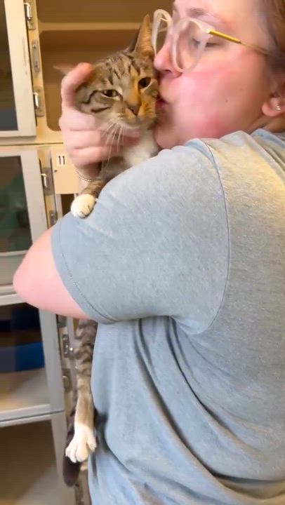 Enlarge Cannoli cannot be any sweeter or cuter!  VIDEO from clinic too!, a Adoptable mixed breed in Bedford Hills, NY video 5/5