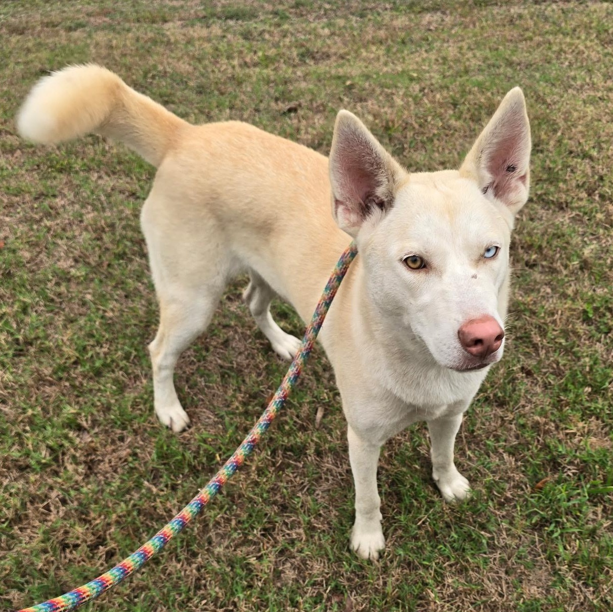 Sassy Girl — thumbnail 4