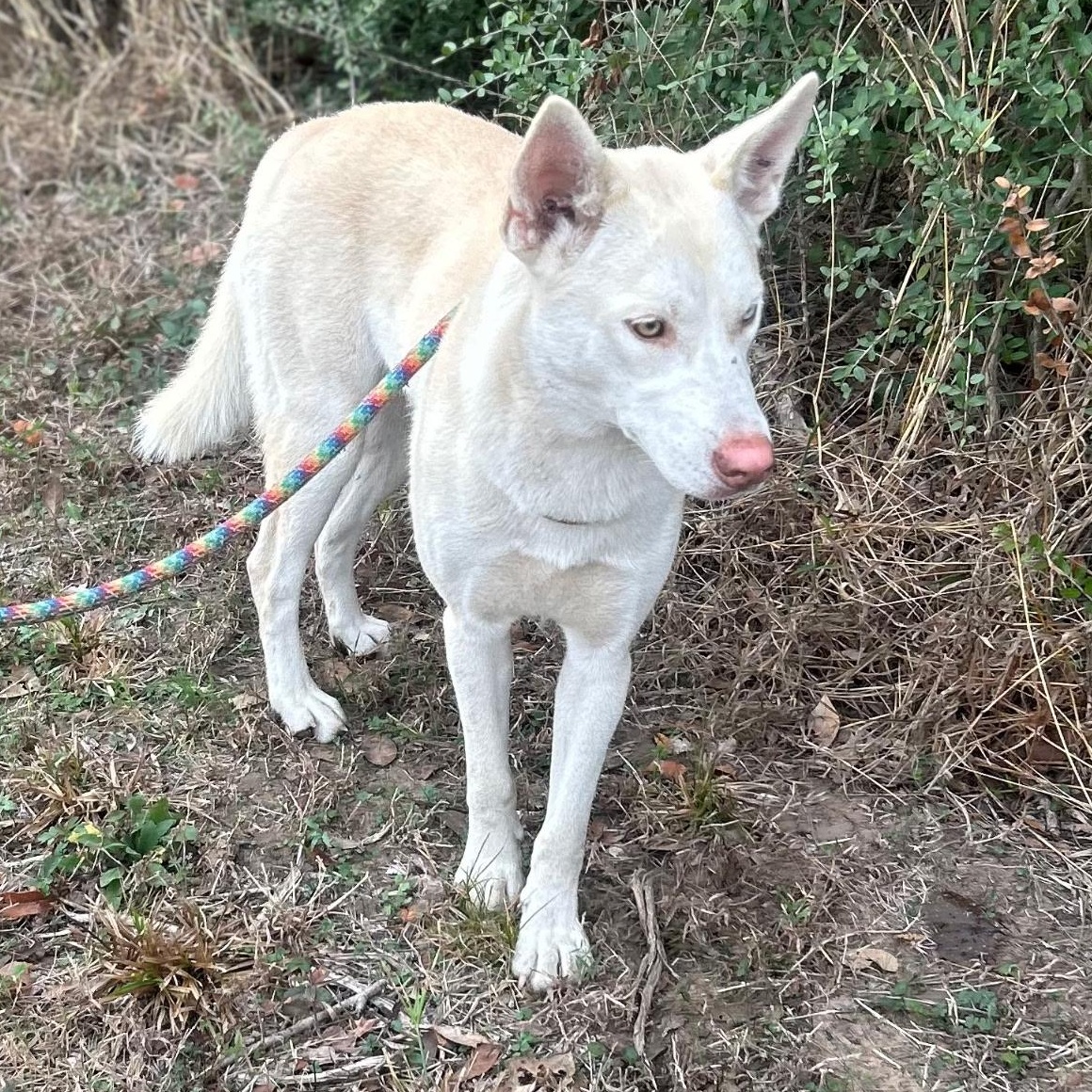 Sassy Girl — thumbnail 5