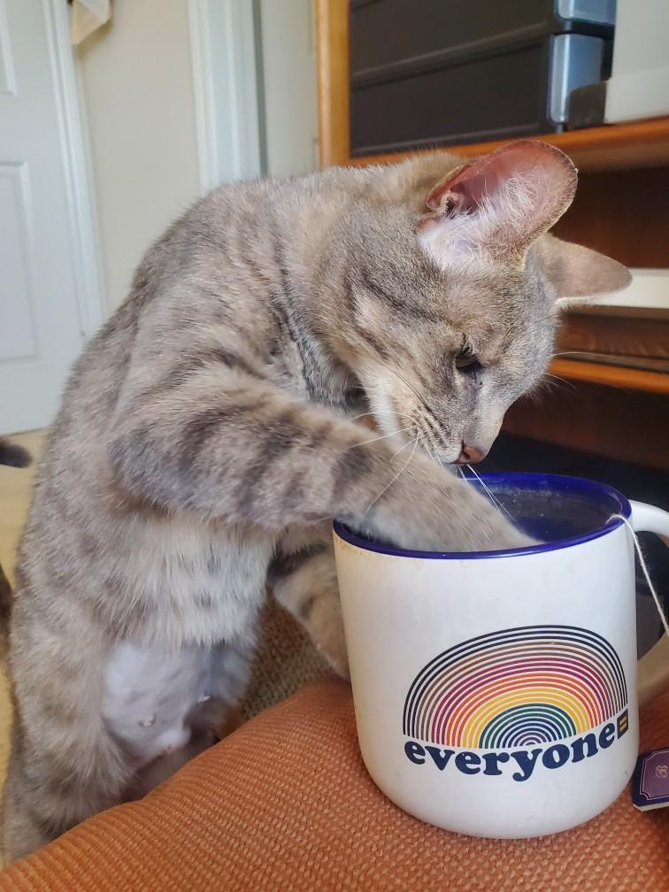 Reyna — thumbnail 4