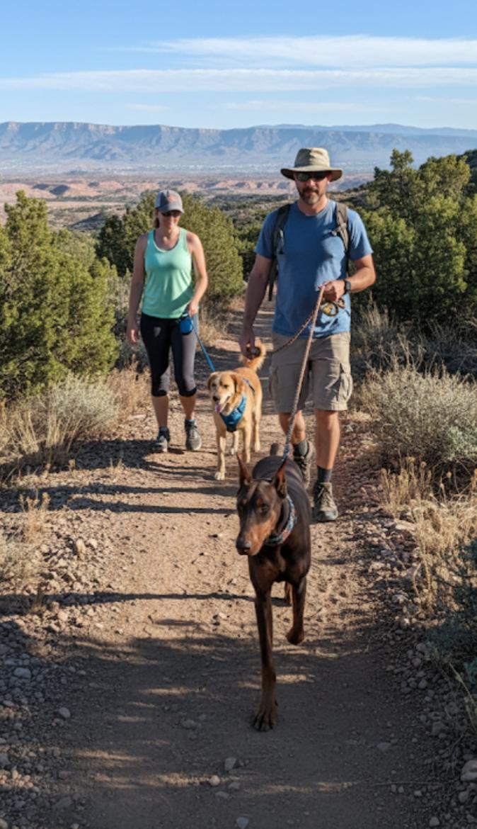 Enlarge TOBY, a ADOPTABLE Doberman Pinscher in Pena Blanca, NM image 1/2