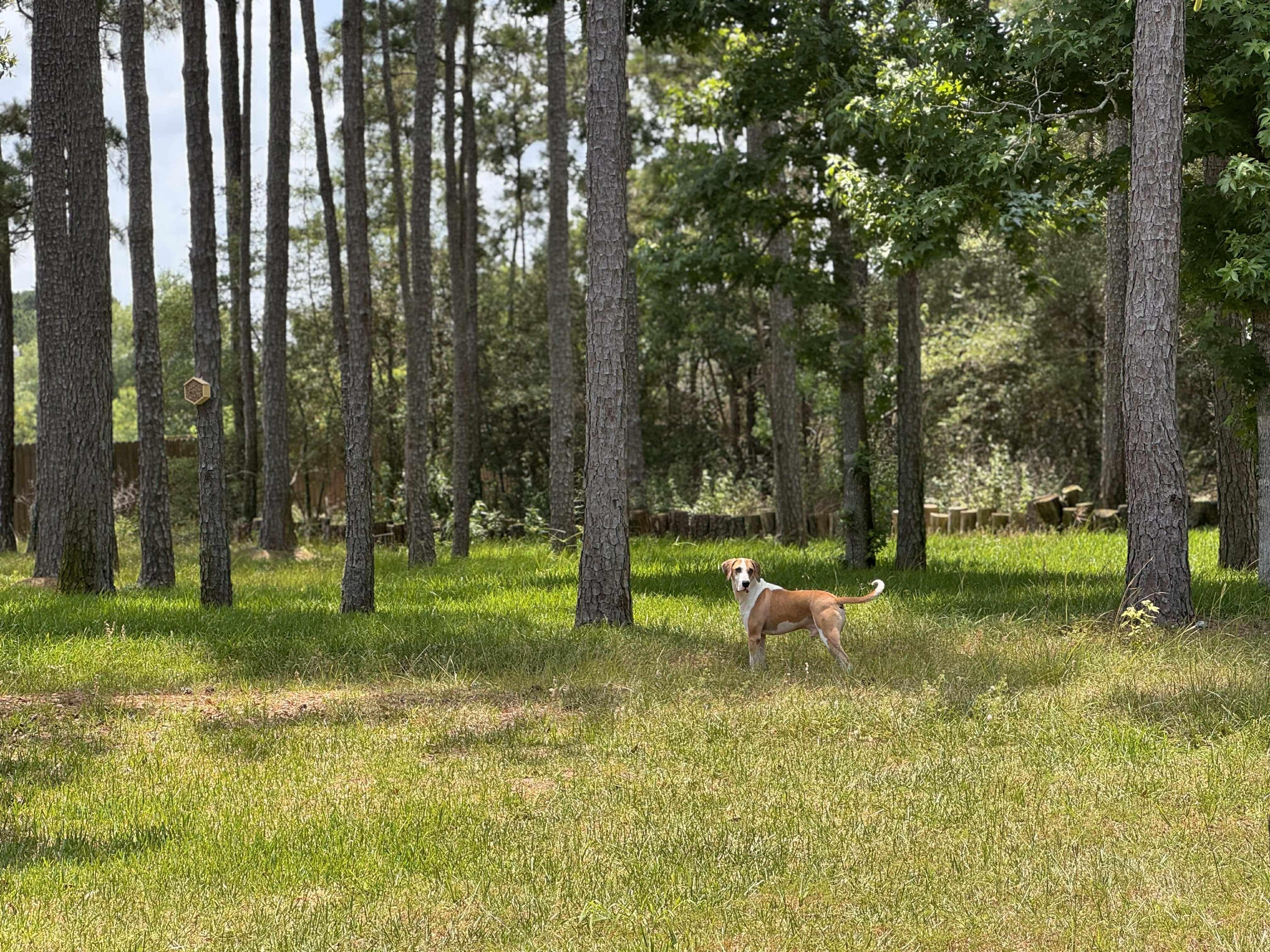 Tucker photo 3