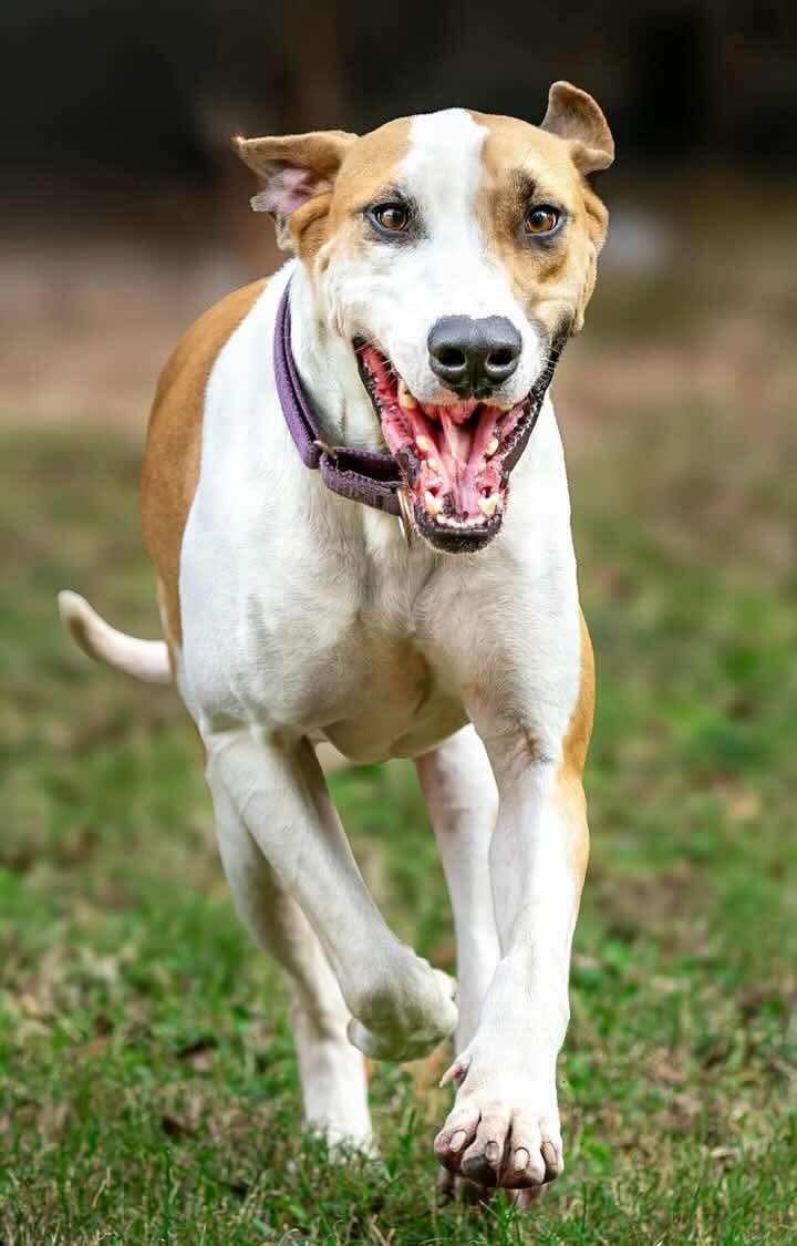 Tucker photo 2