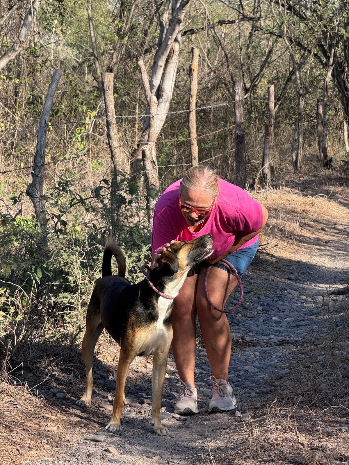 Enlarge Lluvia, an adopted mixed breed in Victoria, BC image 2/6