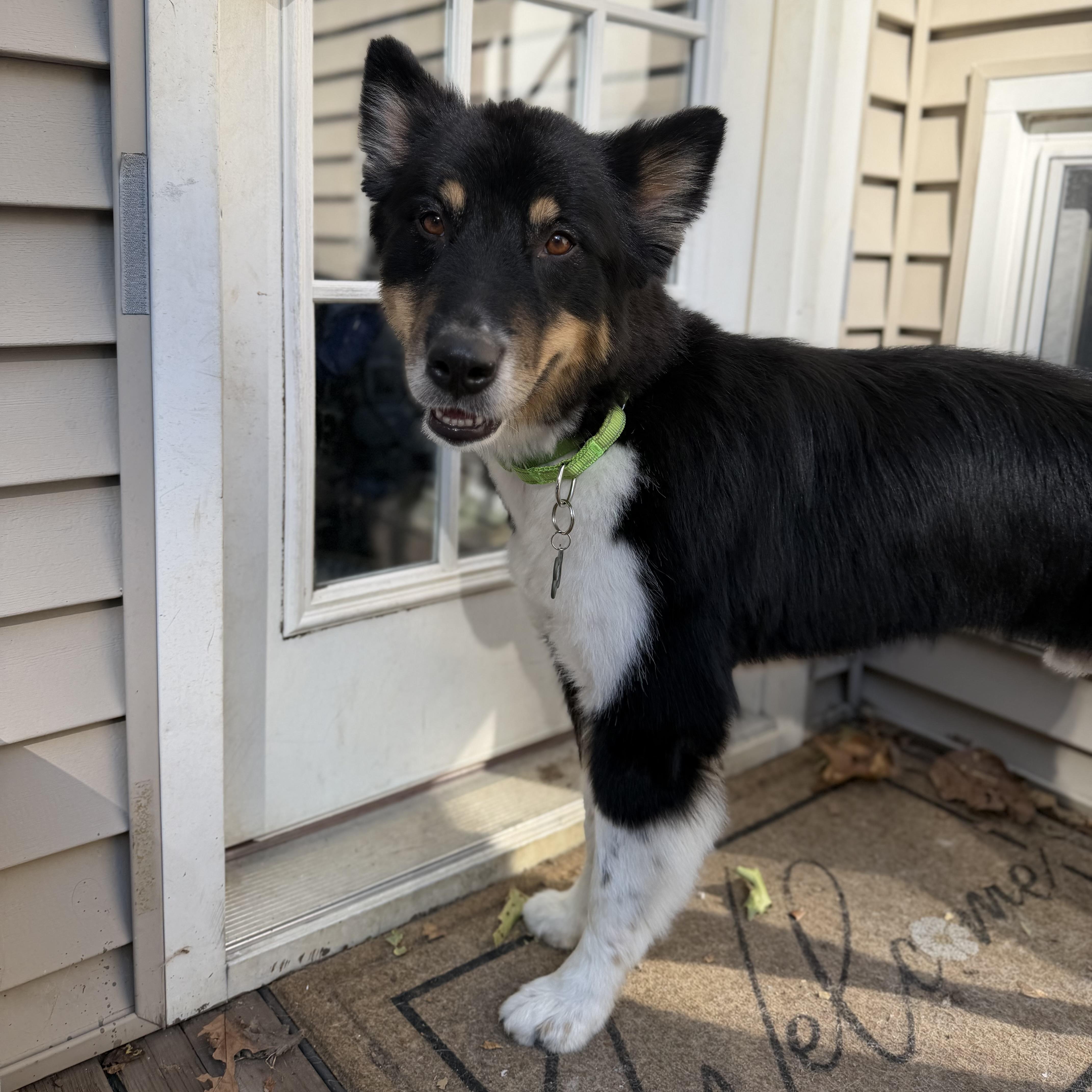 Kooper photo