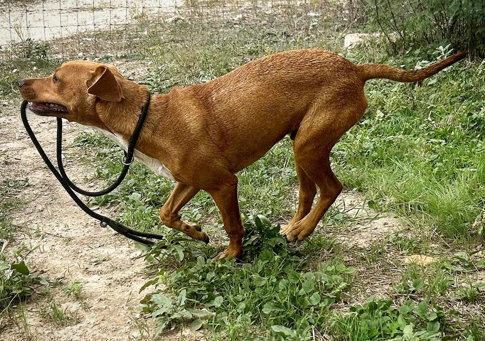 TomTom — thumbnail 3