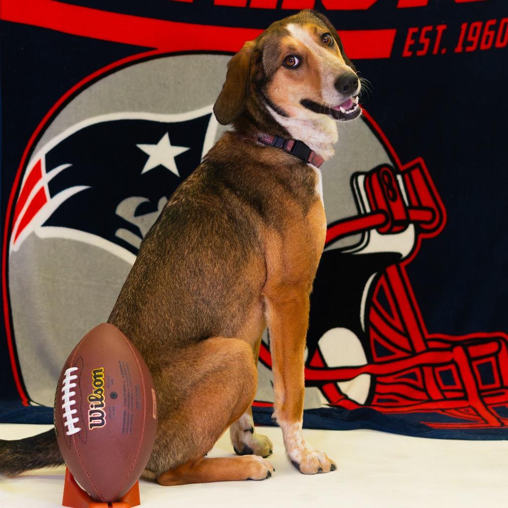 Reya — thumbnail 2