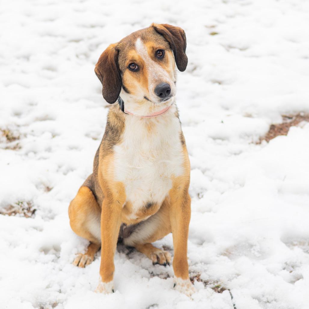 Reya — thumbnail 3