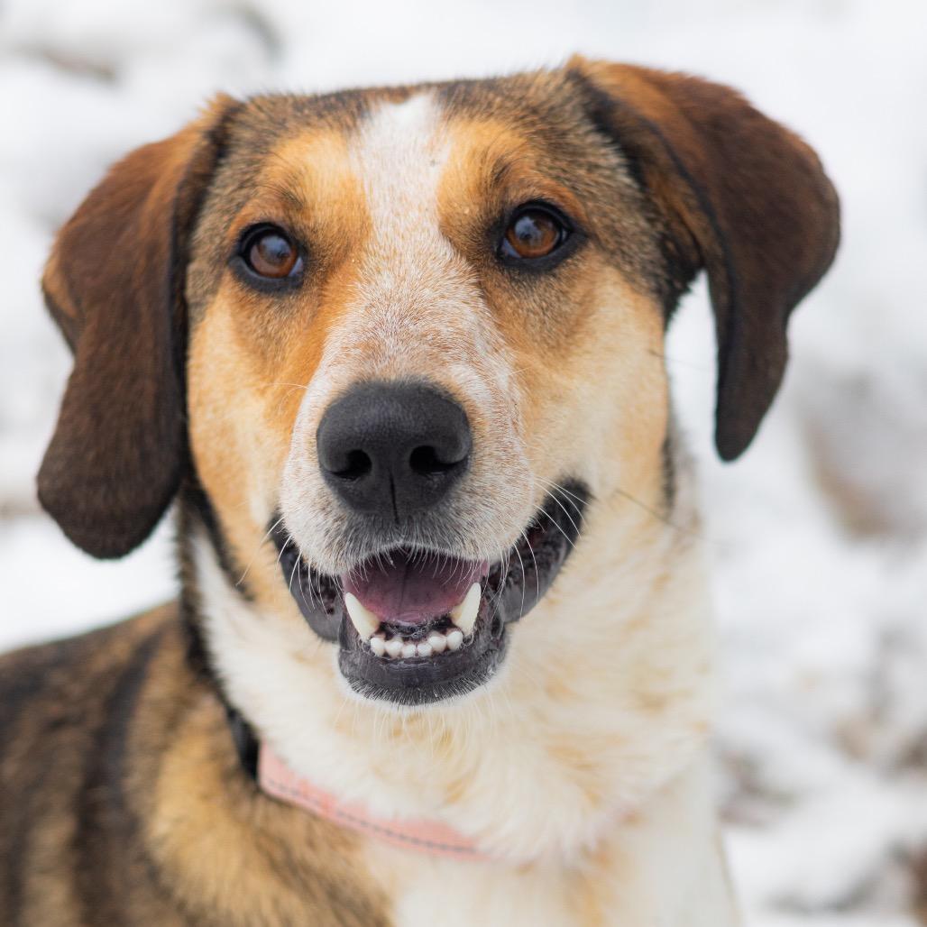 Reya — thumbnail 4