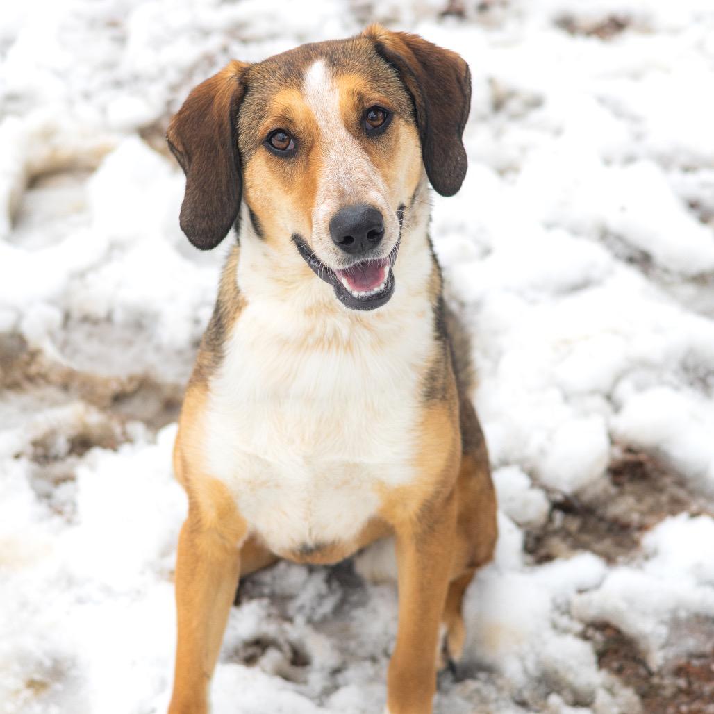 Reya — thumbnail 5