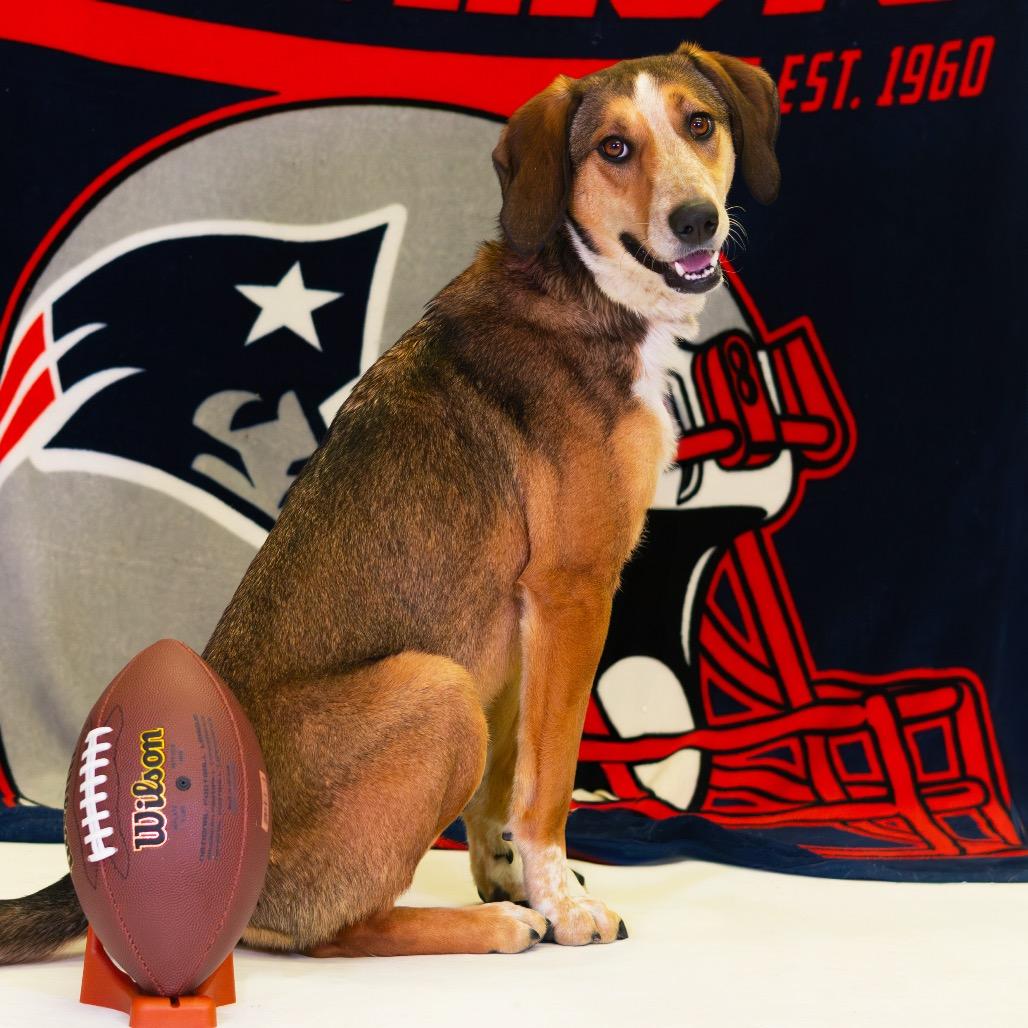 Reya — thumbnail 6