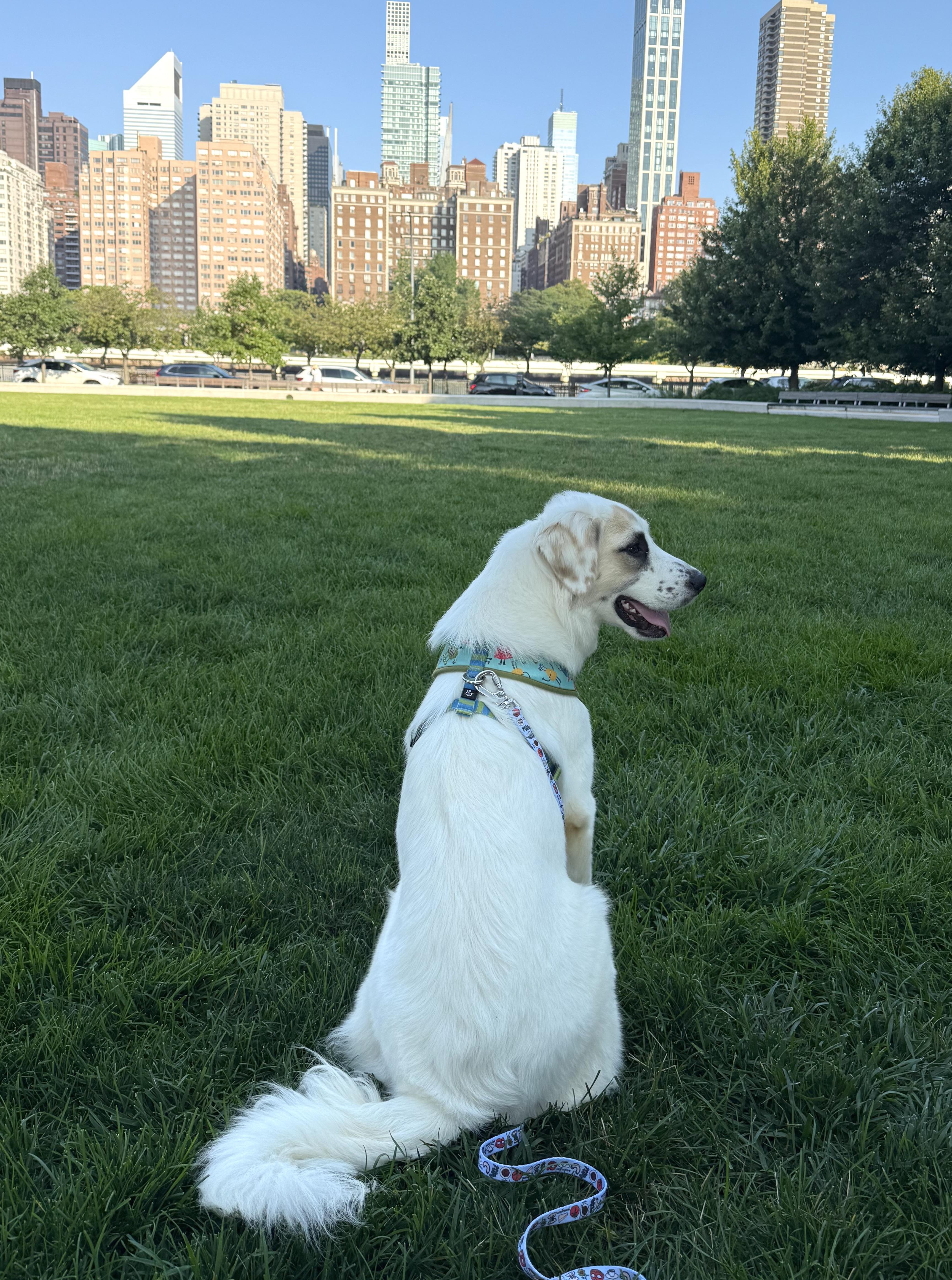 Samantha