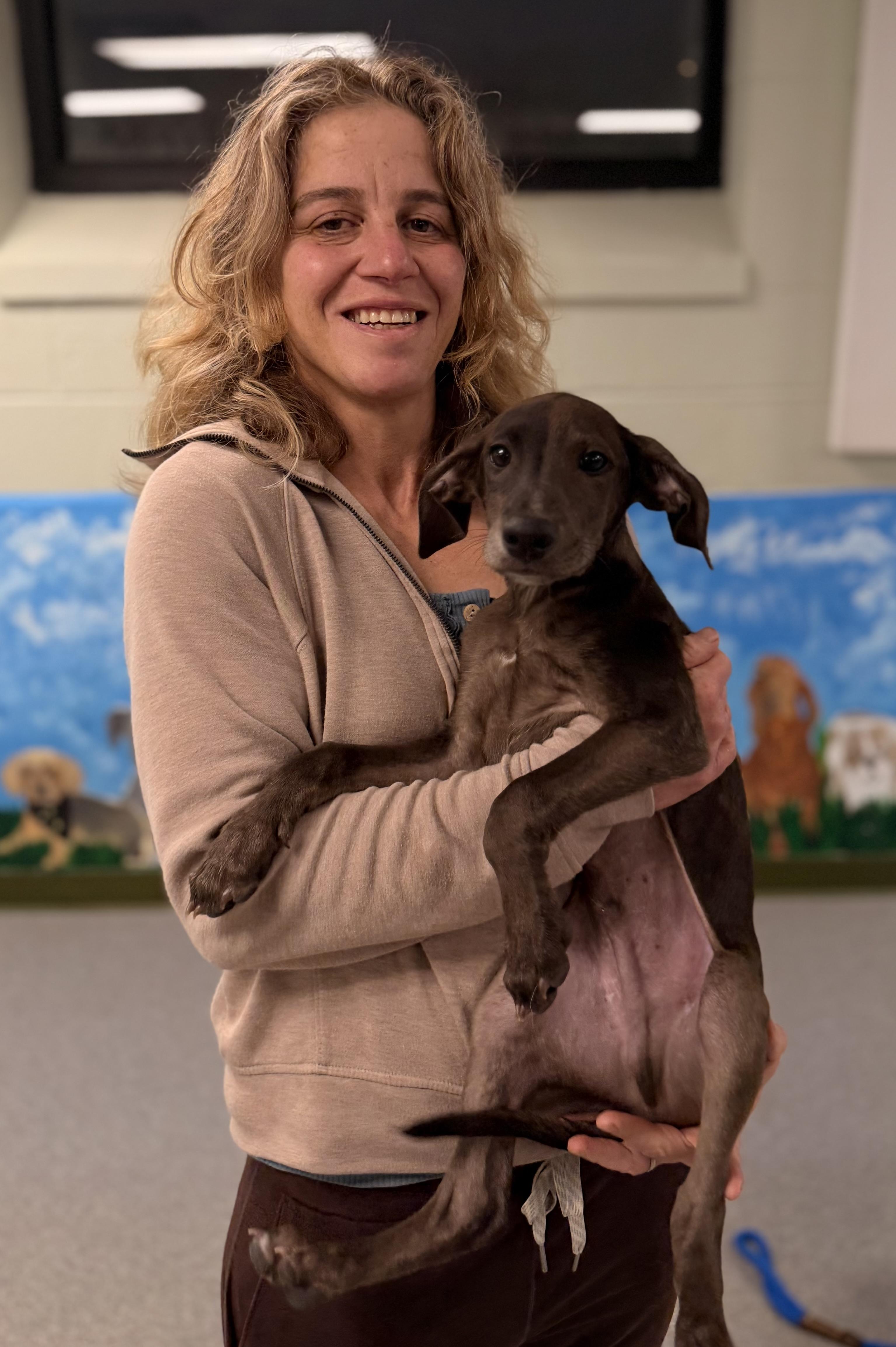 Graham, a ADOPTABLE mixed breed in Milford, CT image 6/6
