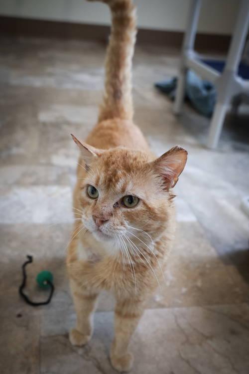 Sammy (fcid# // -