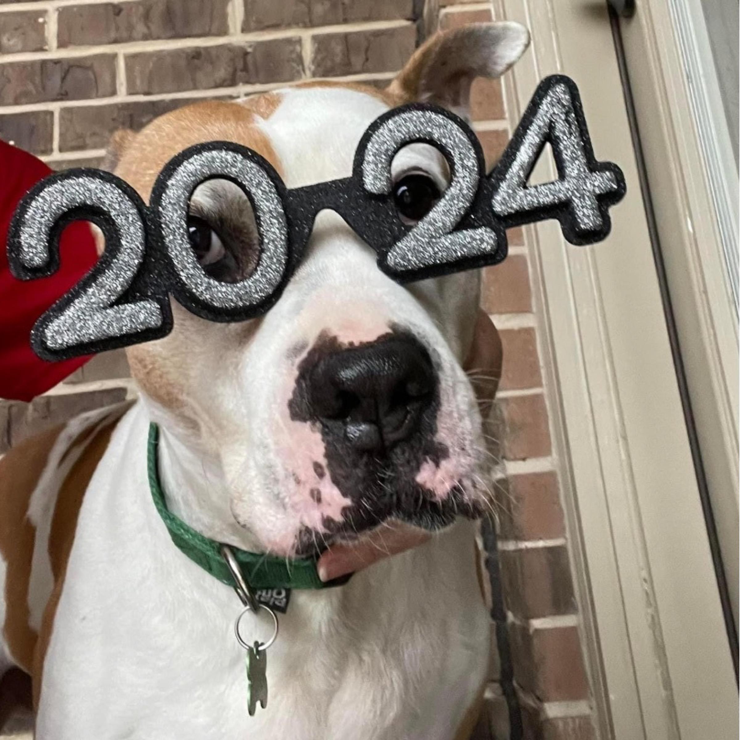 Petey — thumbnail 10