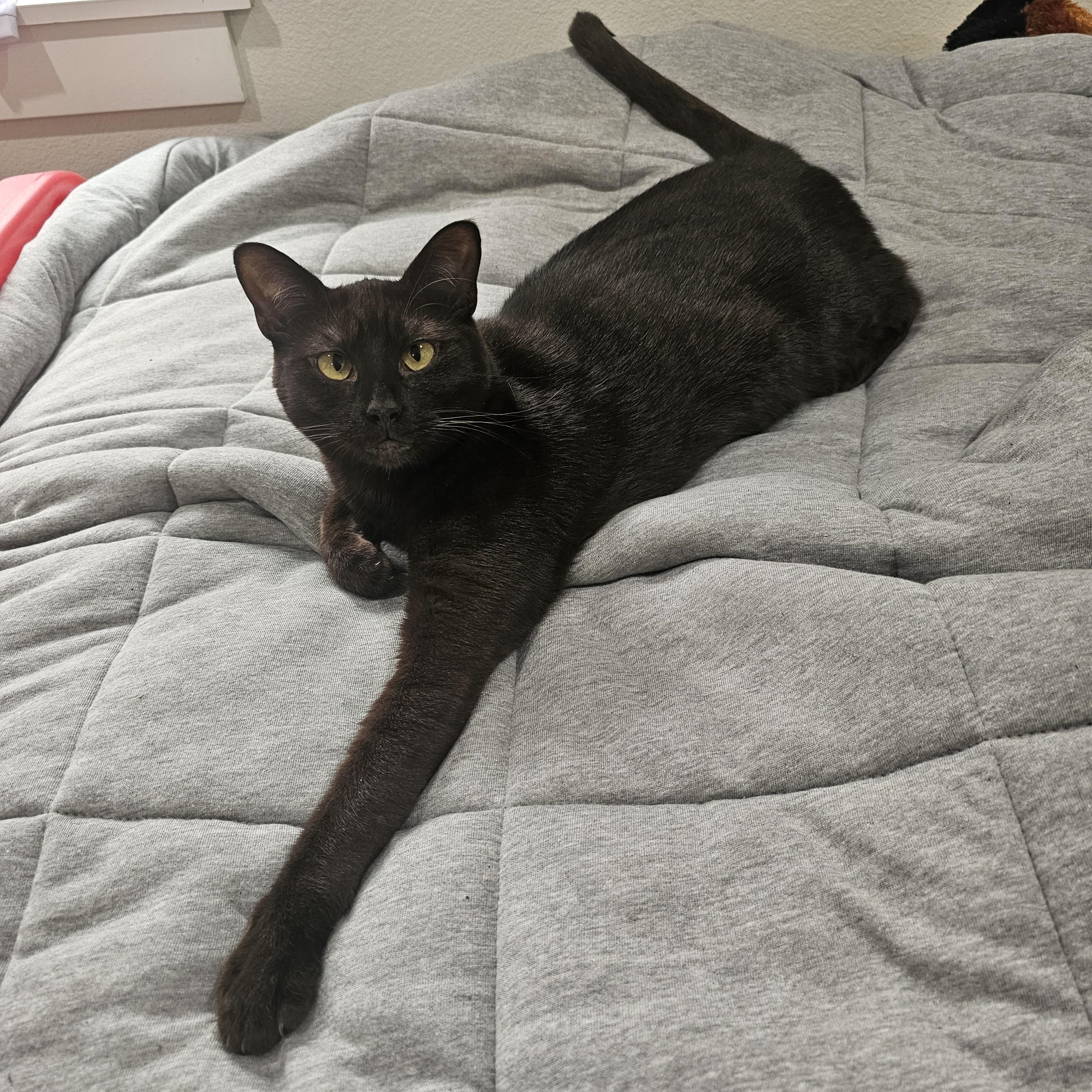 Coco