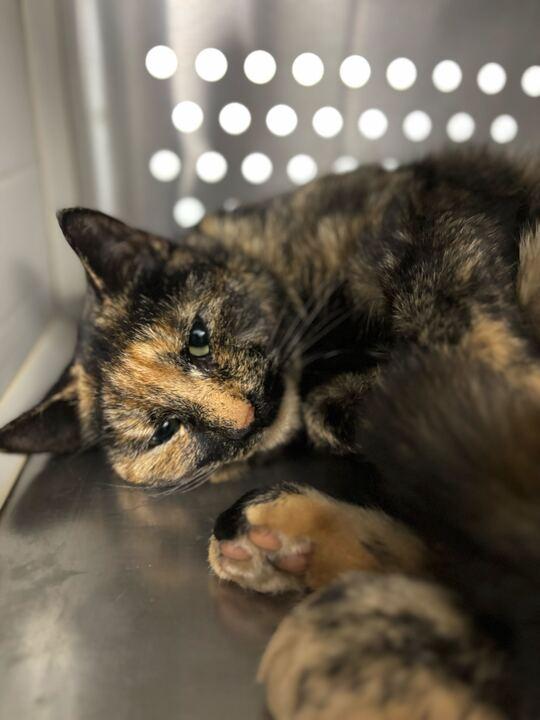 Fergie — thumbnail 2