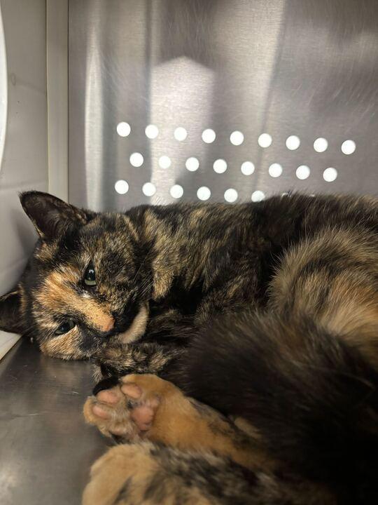 Fergie — thumbnail 3