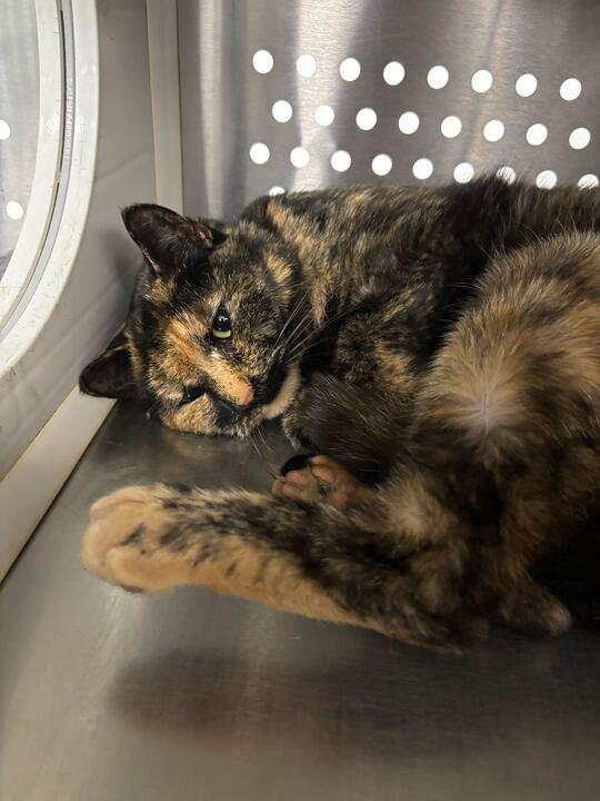 Fergie — thumbnail 5