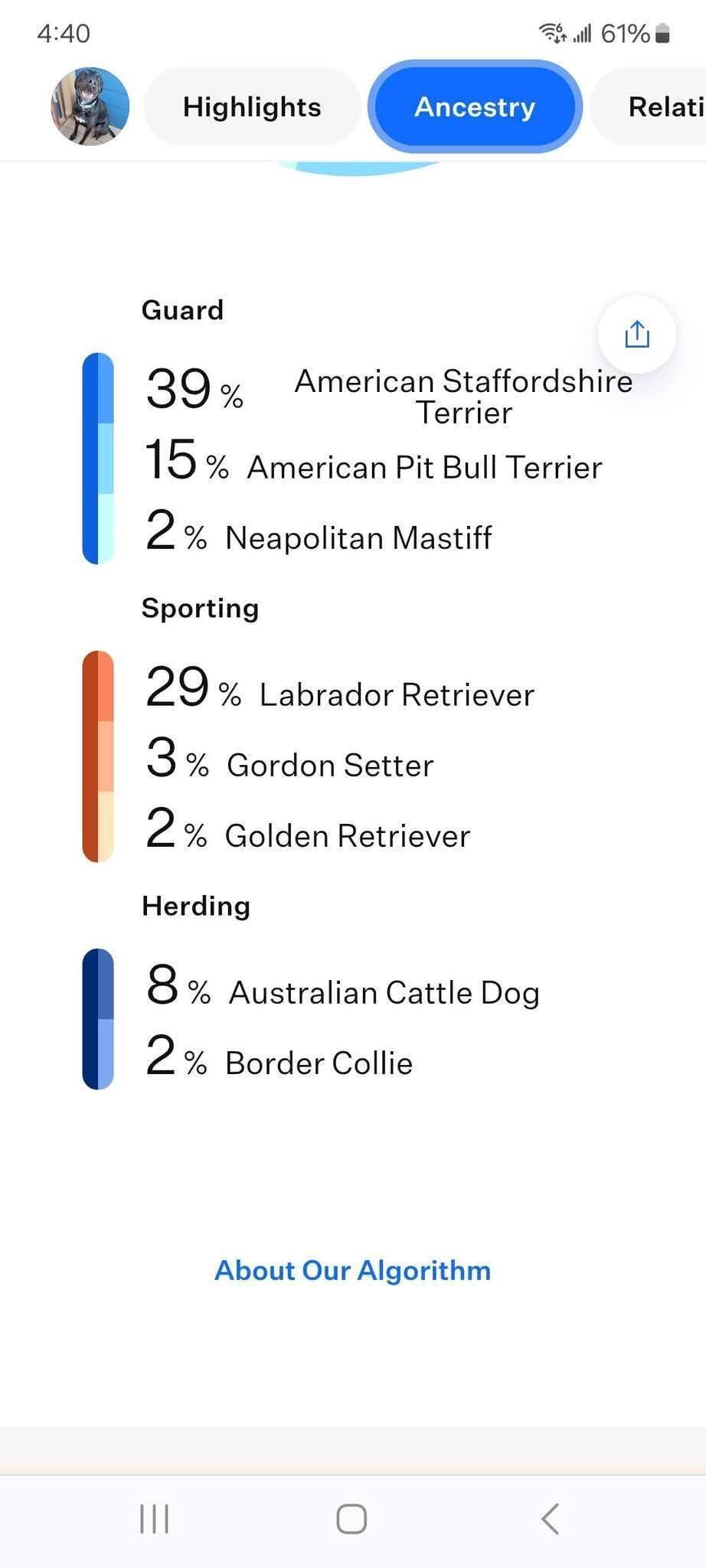Jaguar, a Adoptable mixed breed in Sioux City, IA image 3/6