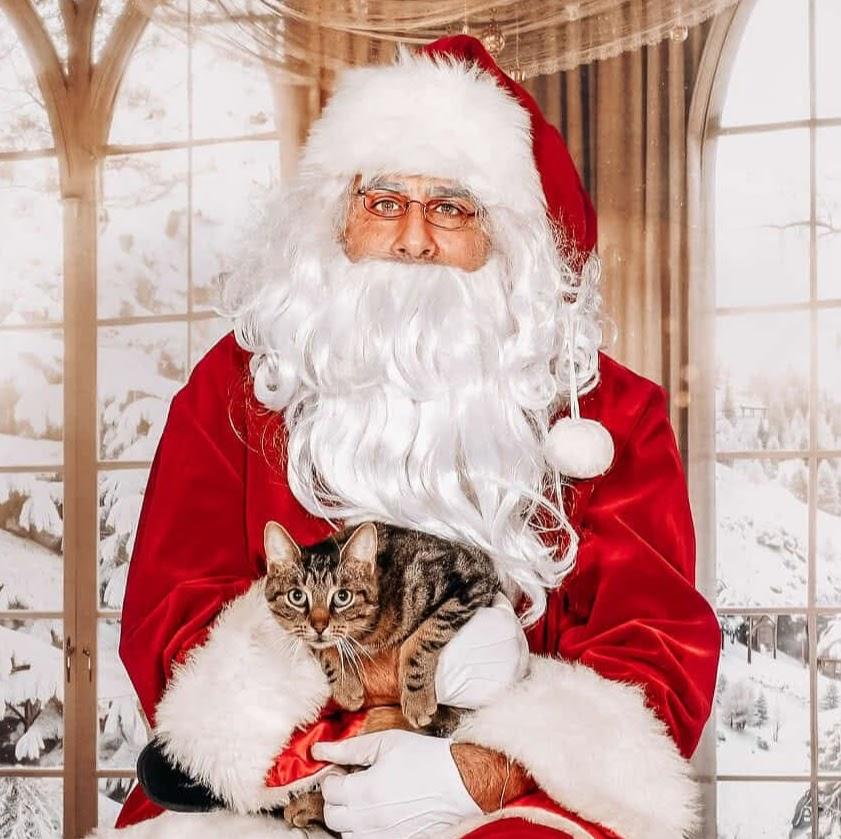 Enlarge Drumstick , an adopted Tabby in Buffalo, NY image 2/4