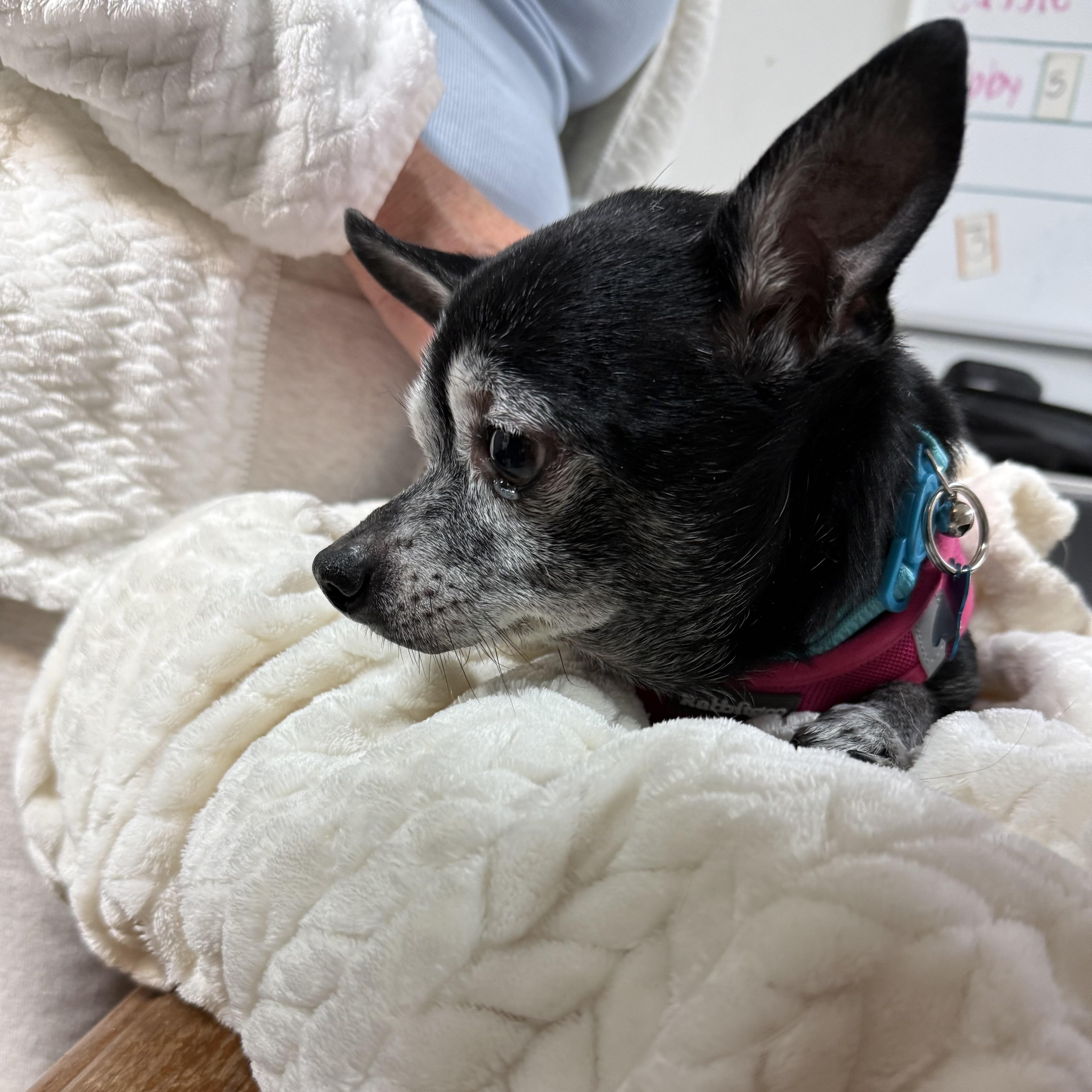 Meemaw — thumbnail 3