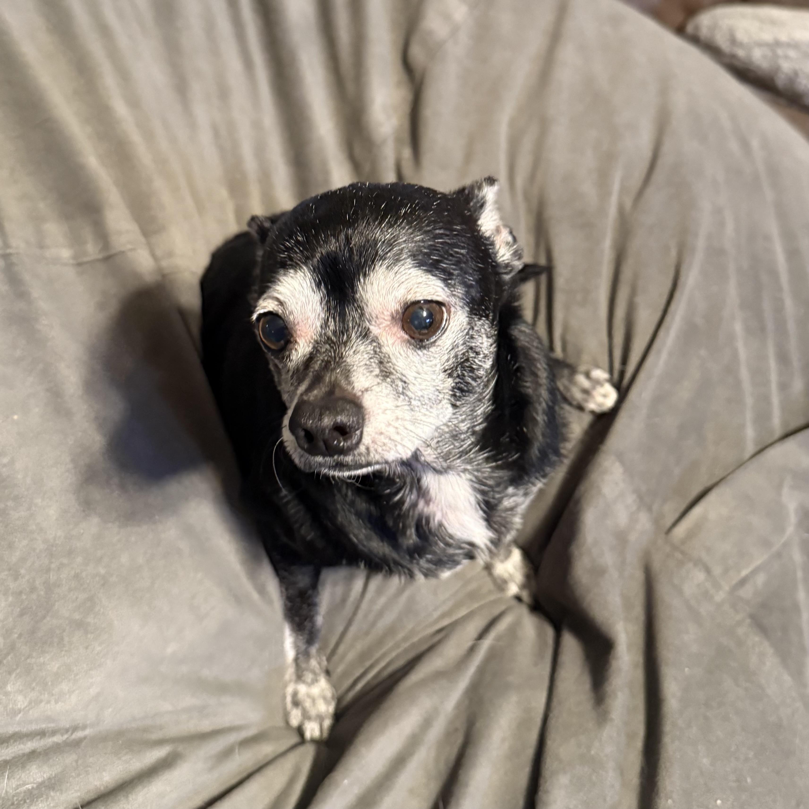 Meemaw — thumbnail 5