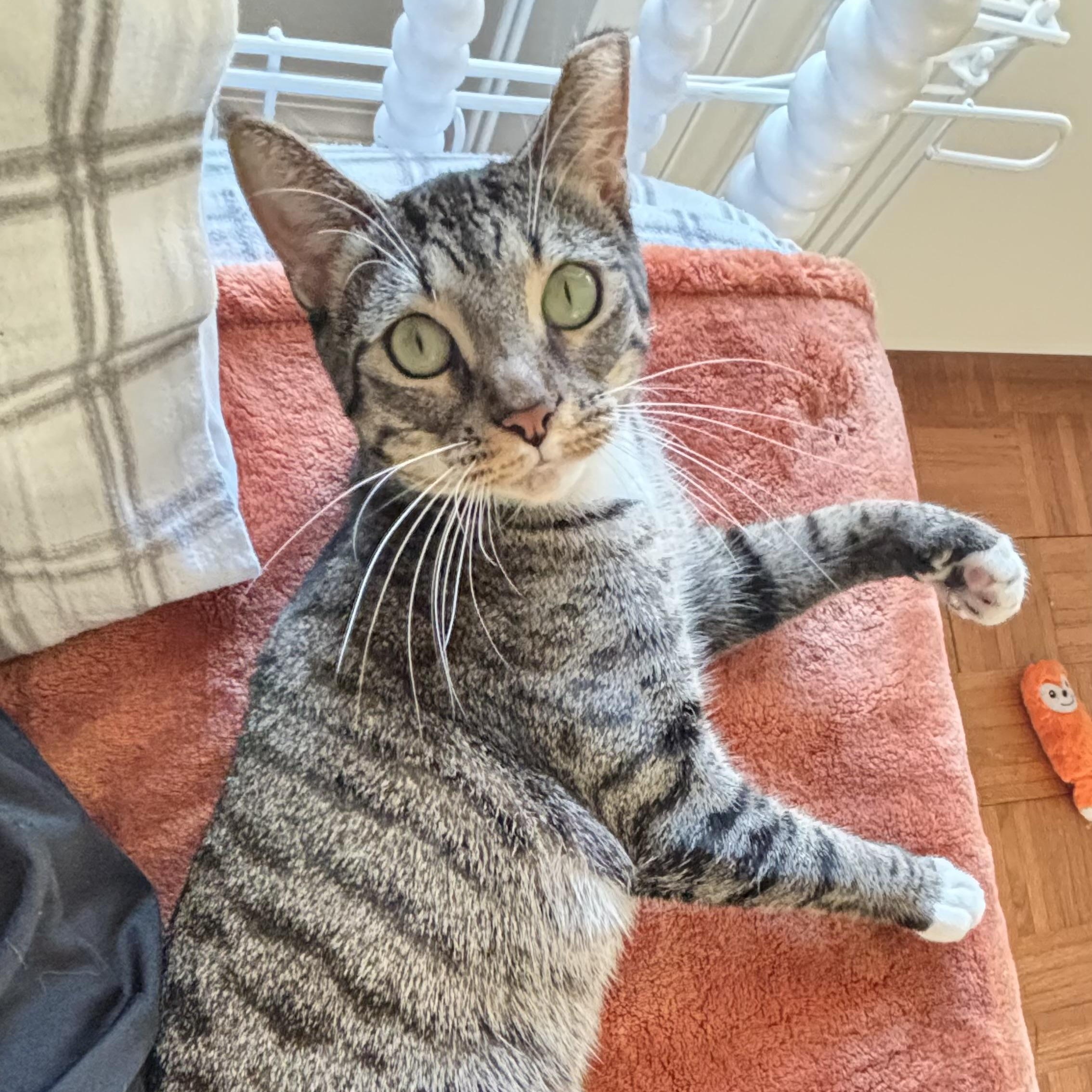 MARIBEL - SO MUCH LOVE TO GIVE