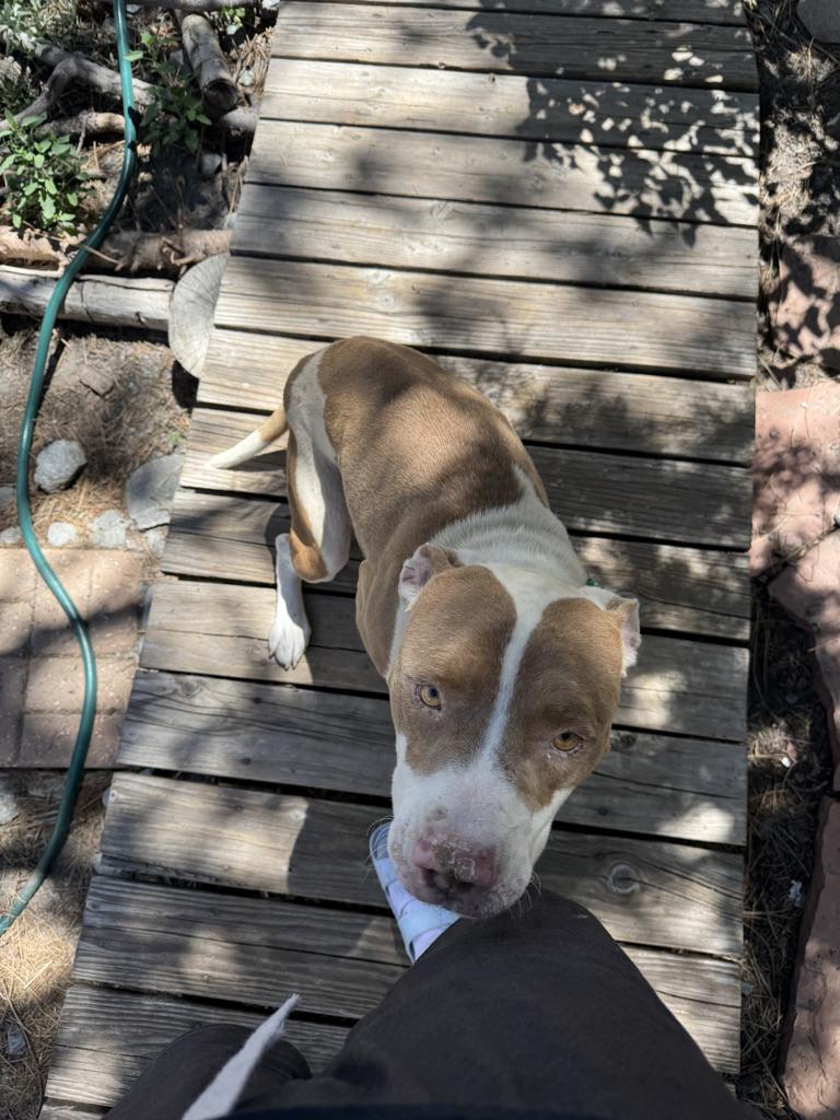 Benny photo 4