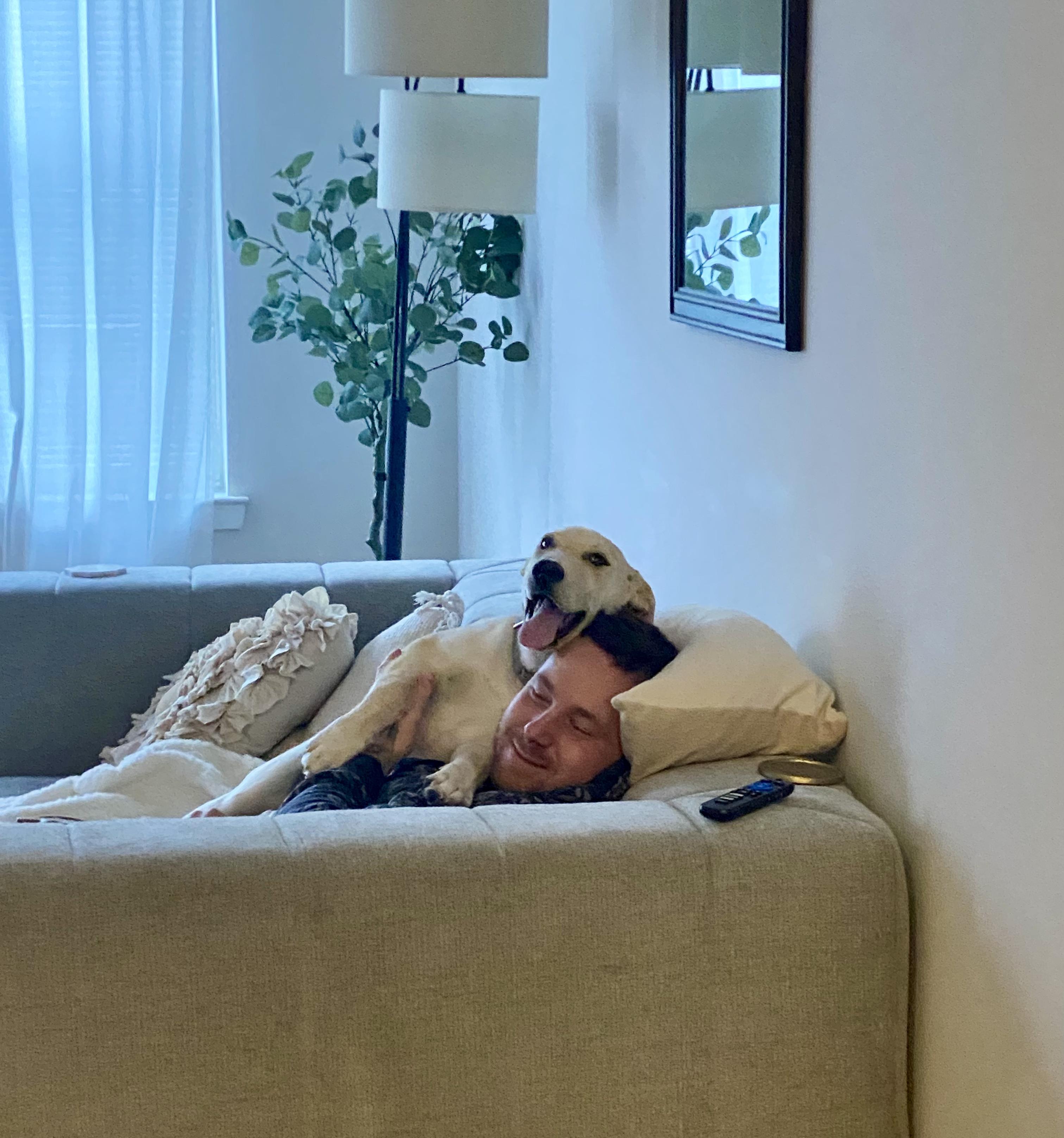 Enlarge Duncan, an adopted mixed breed in Mount Arlington, NJ image 6/6