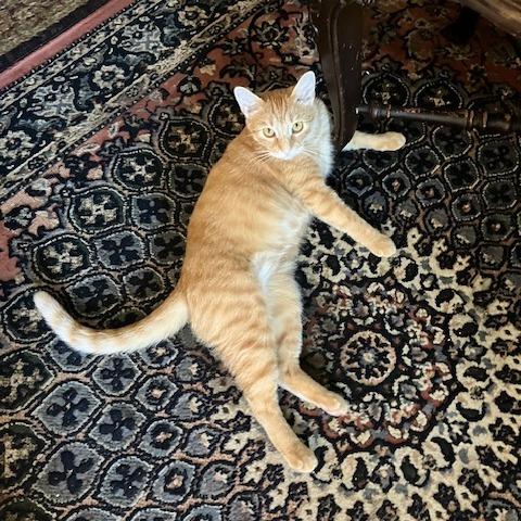 Magma — thumbnail 2