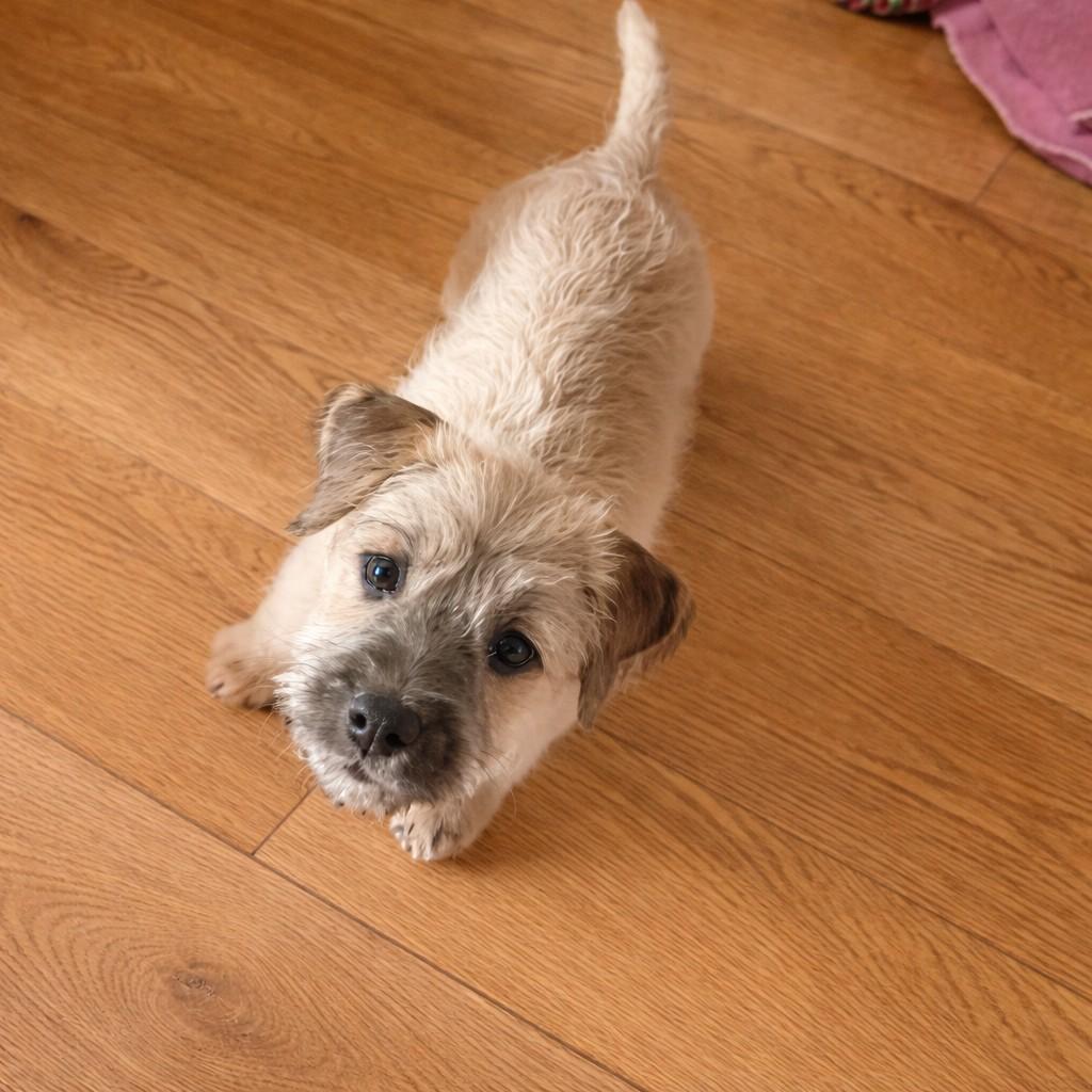 Gregory — thumbnail 5