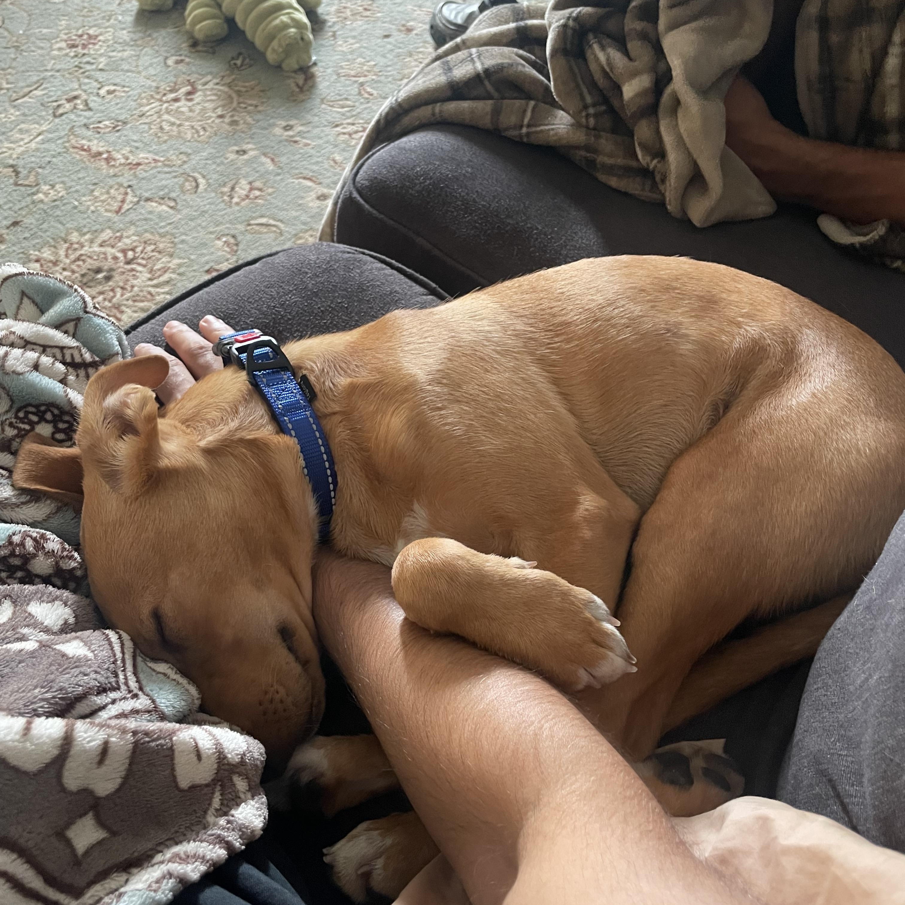 Unagi — thumbnail 6