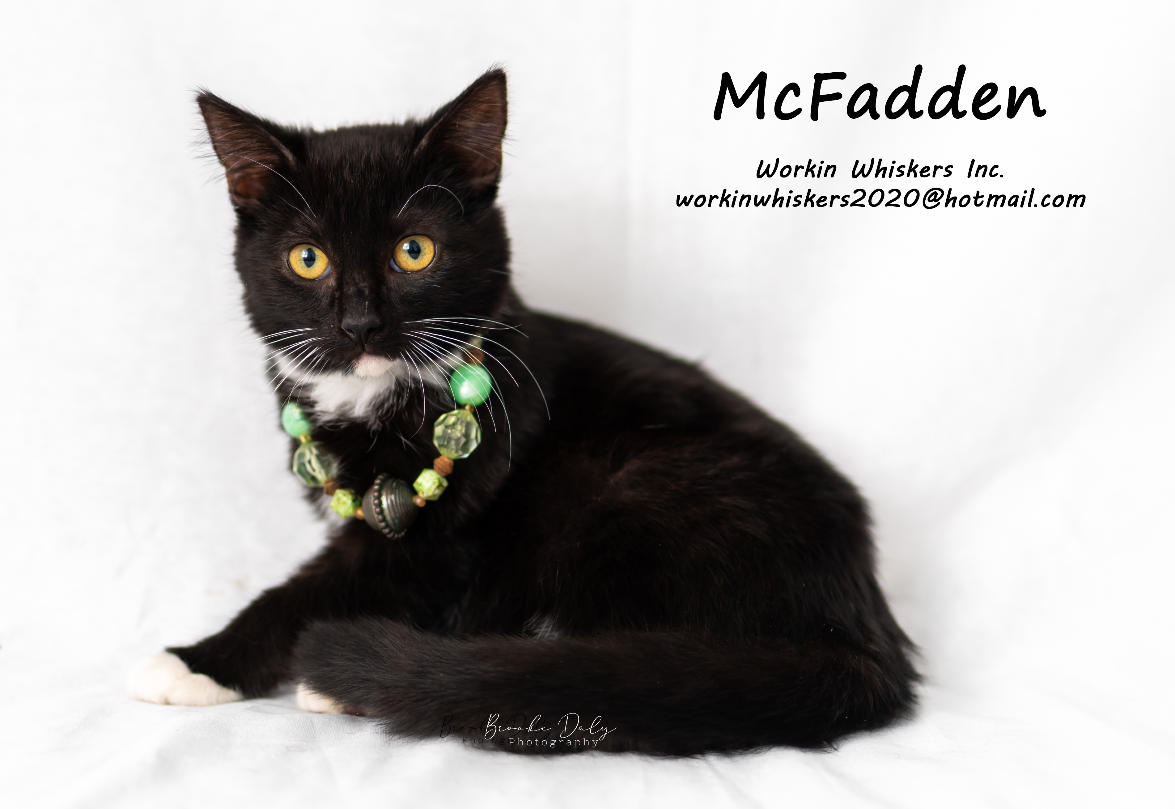 MCFADDEN photo 5