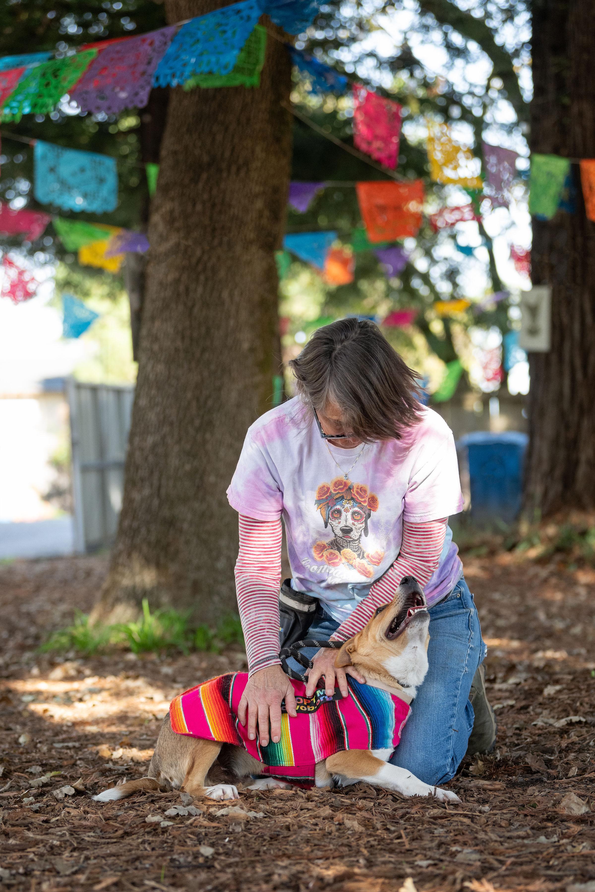 Matias, a ADOPTABLE mixed breed in Santa Rosa, CA image 4/5