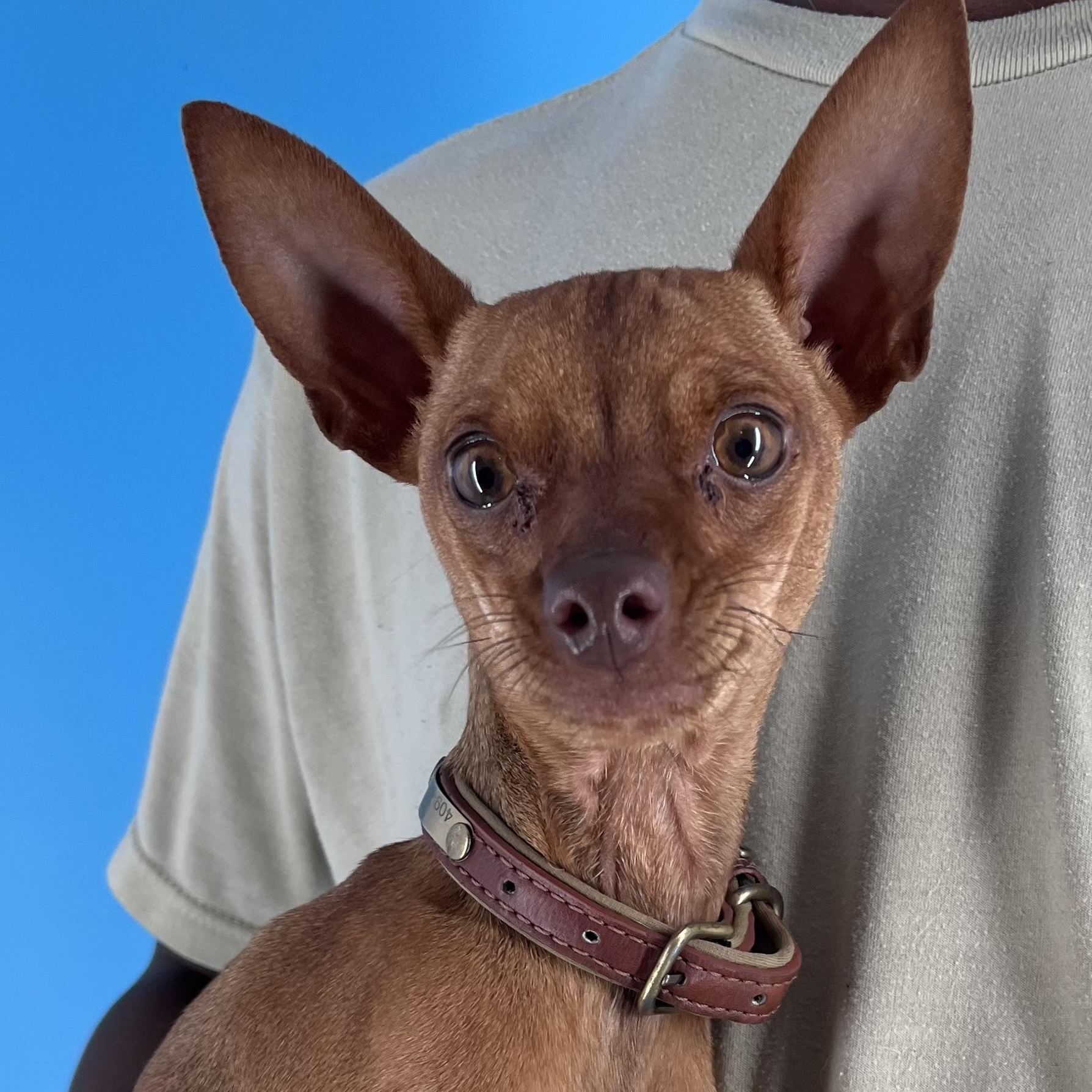 Max - Local August 22-24