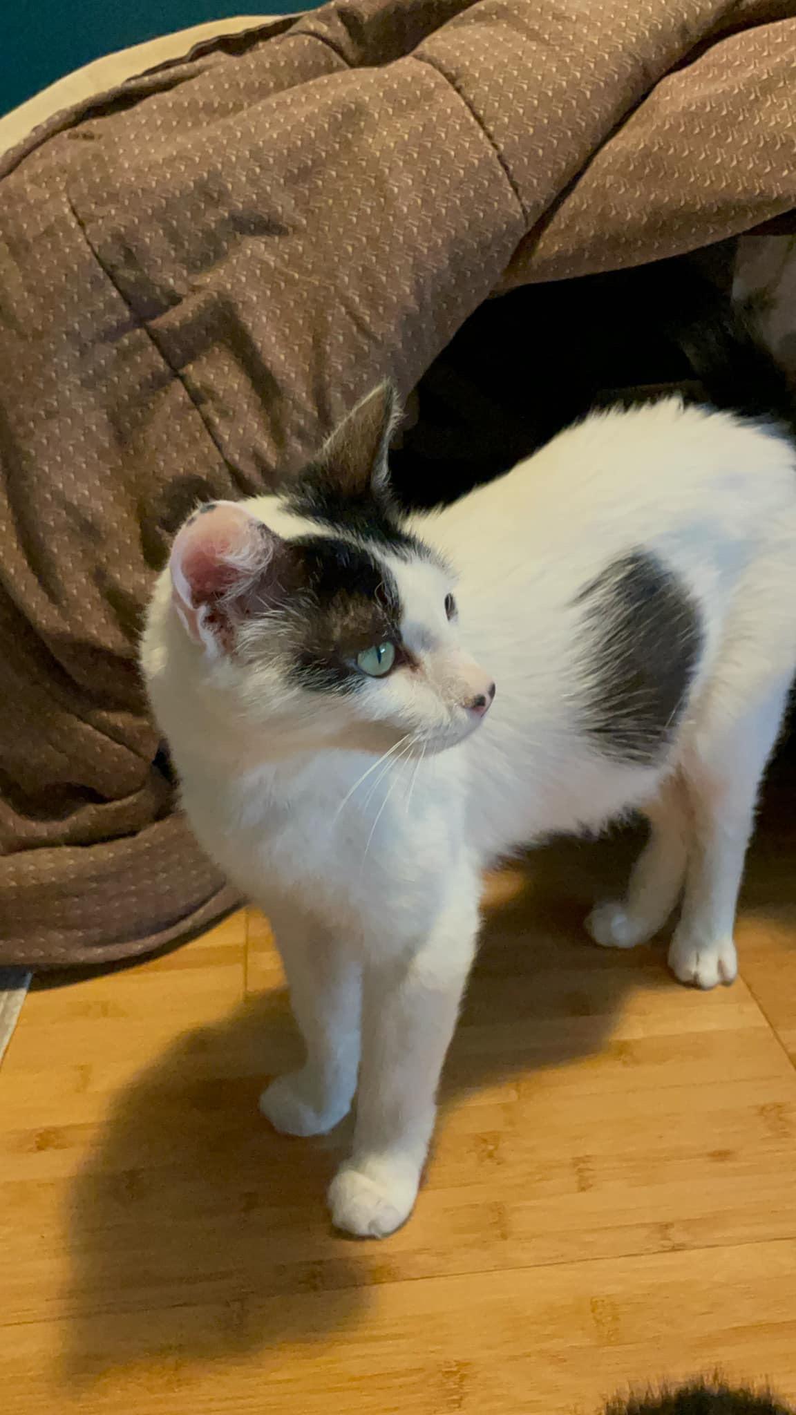 Rosie