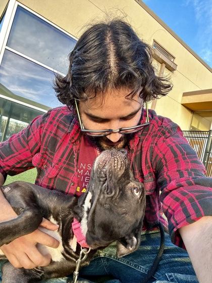 Ida, Adoptable, Adult Female Mixed Breed & Mixed Breed.