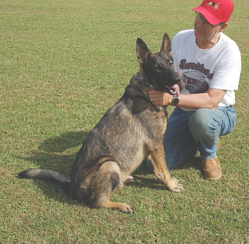 BUDDY AD 06-30-25, a Adopted German Shepherd Dog in Preston, CT image 2/6