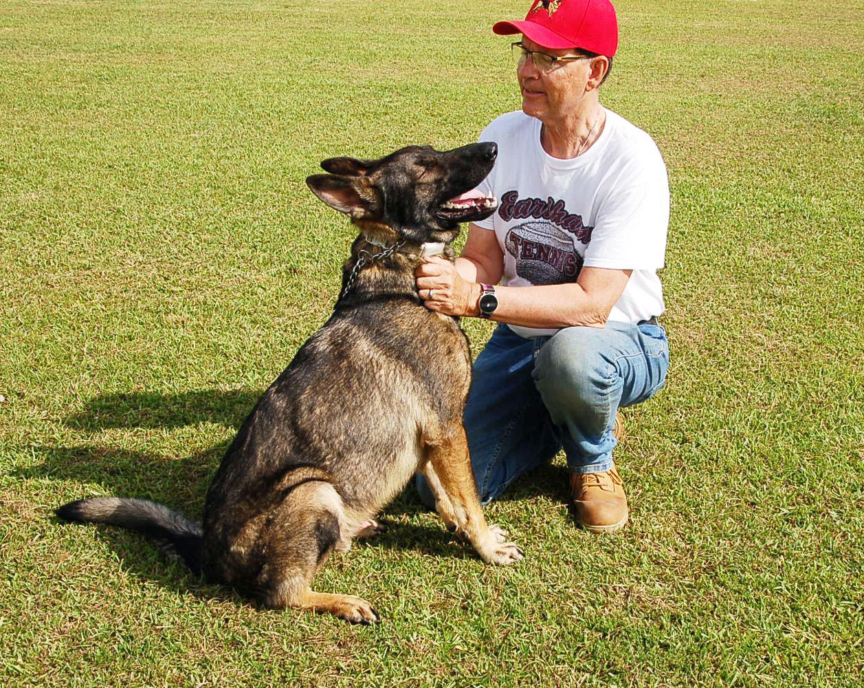 BUDDY AD 06-30-25, a Adopted German Shepherd Dog in Preston, CT image 3/6
