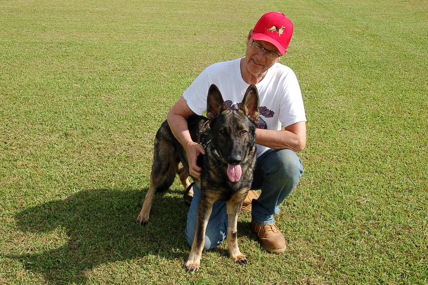 BUDDY AD 06-30-25, a Adopted German Shepherd Dog in Preston, CT image 4/6