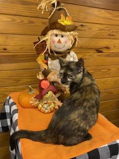 Portia - sweet and playful little girl