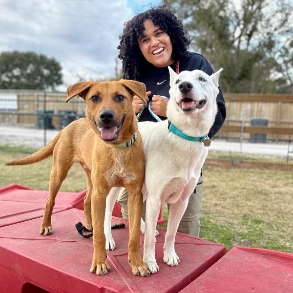 Ava Lane Couch Back Cutie — thumbnail 2