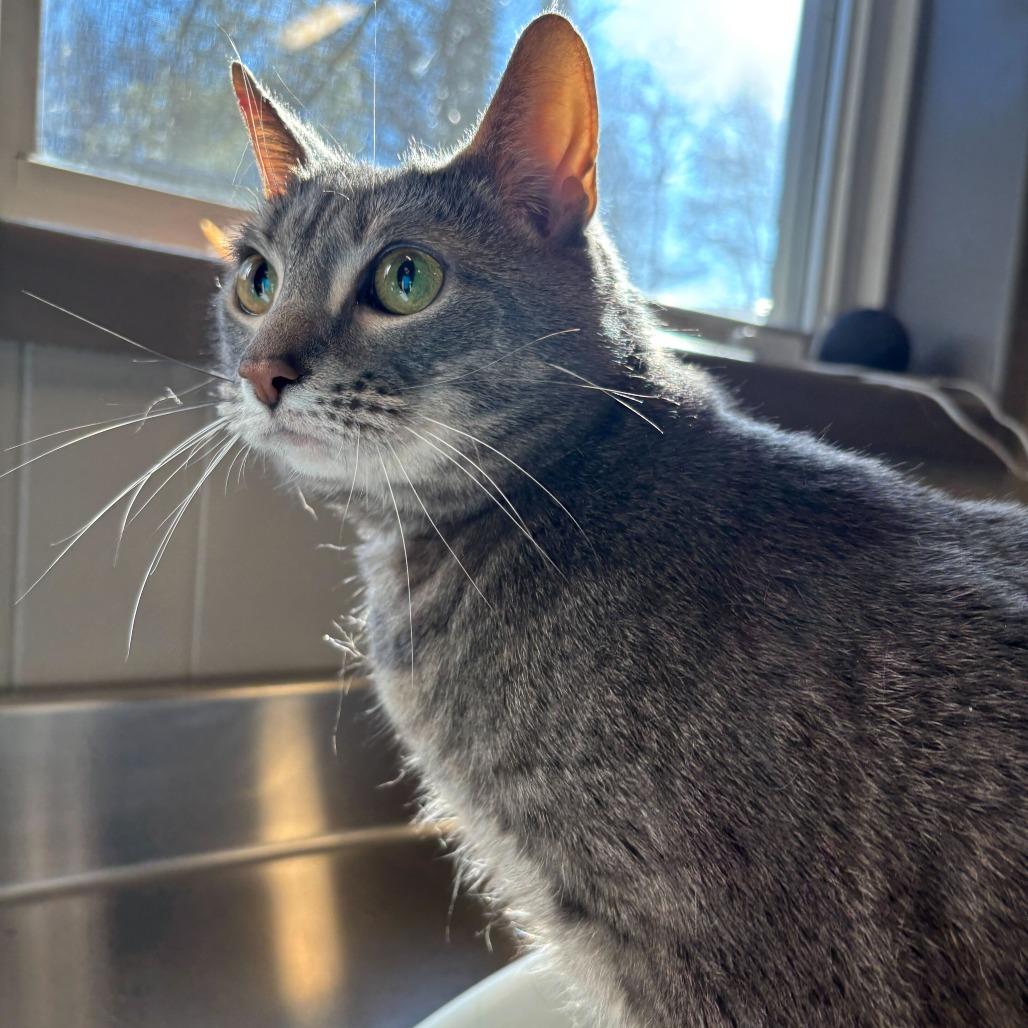 Gabby — thumbnail 2