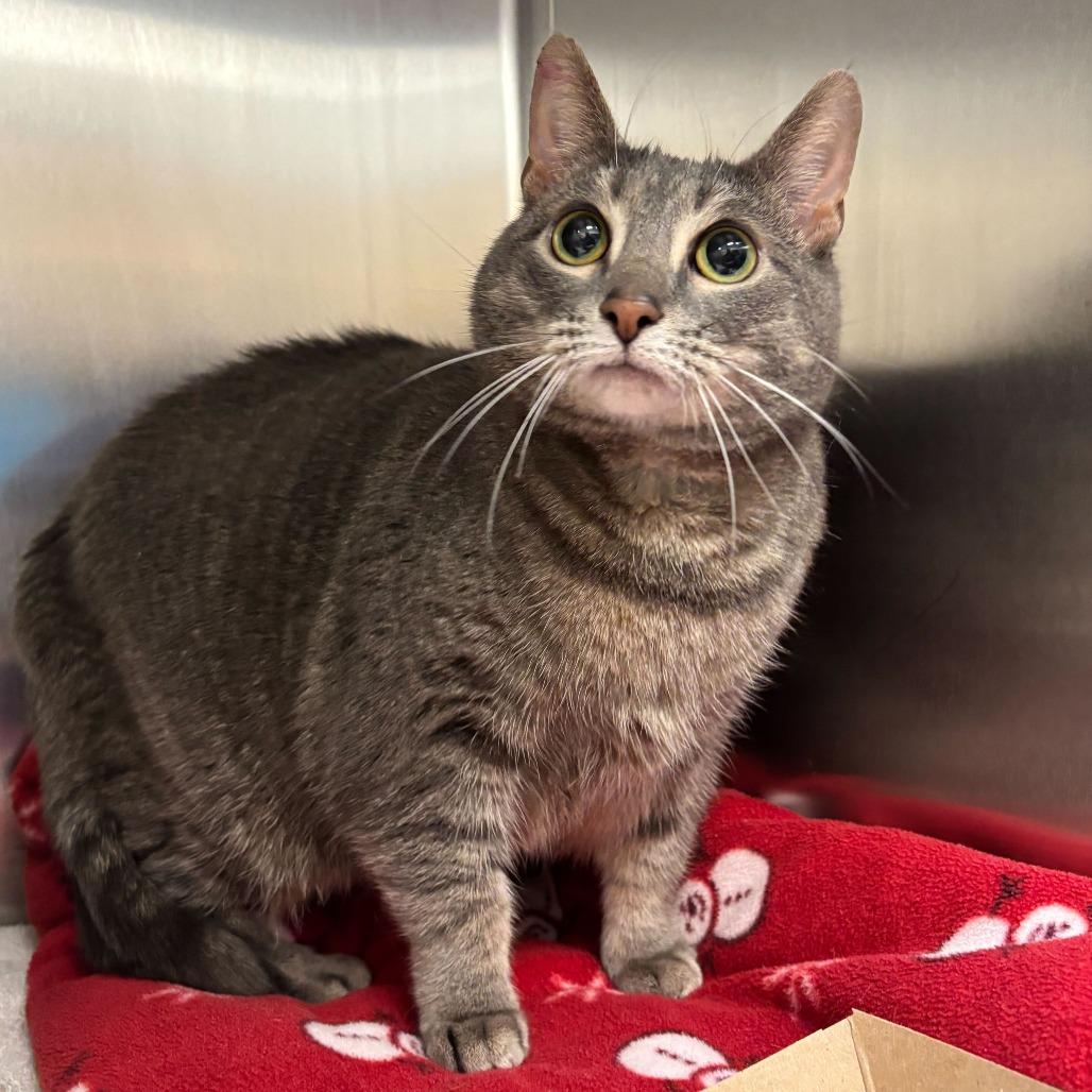 Gabby — thumbnail 3