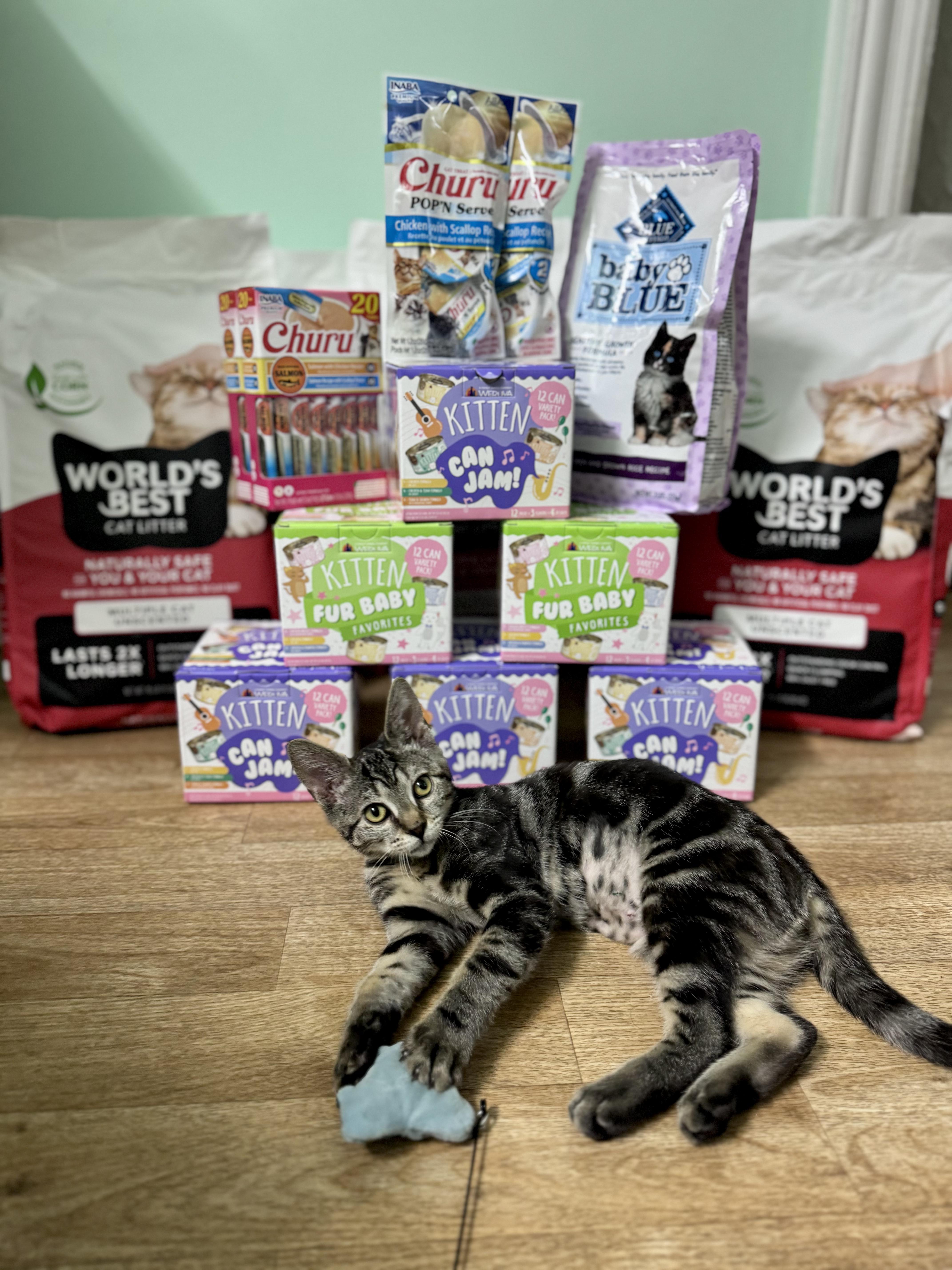 Pigeon Fuzz thumbnail 5