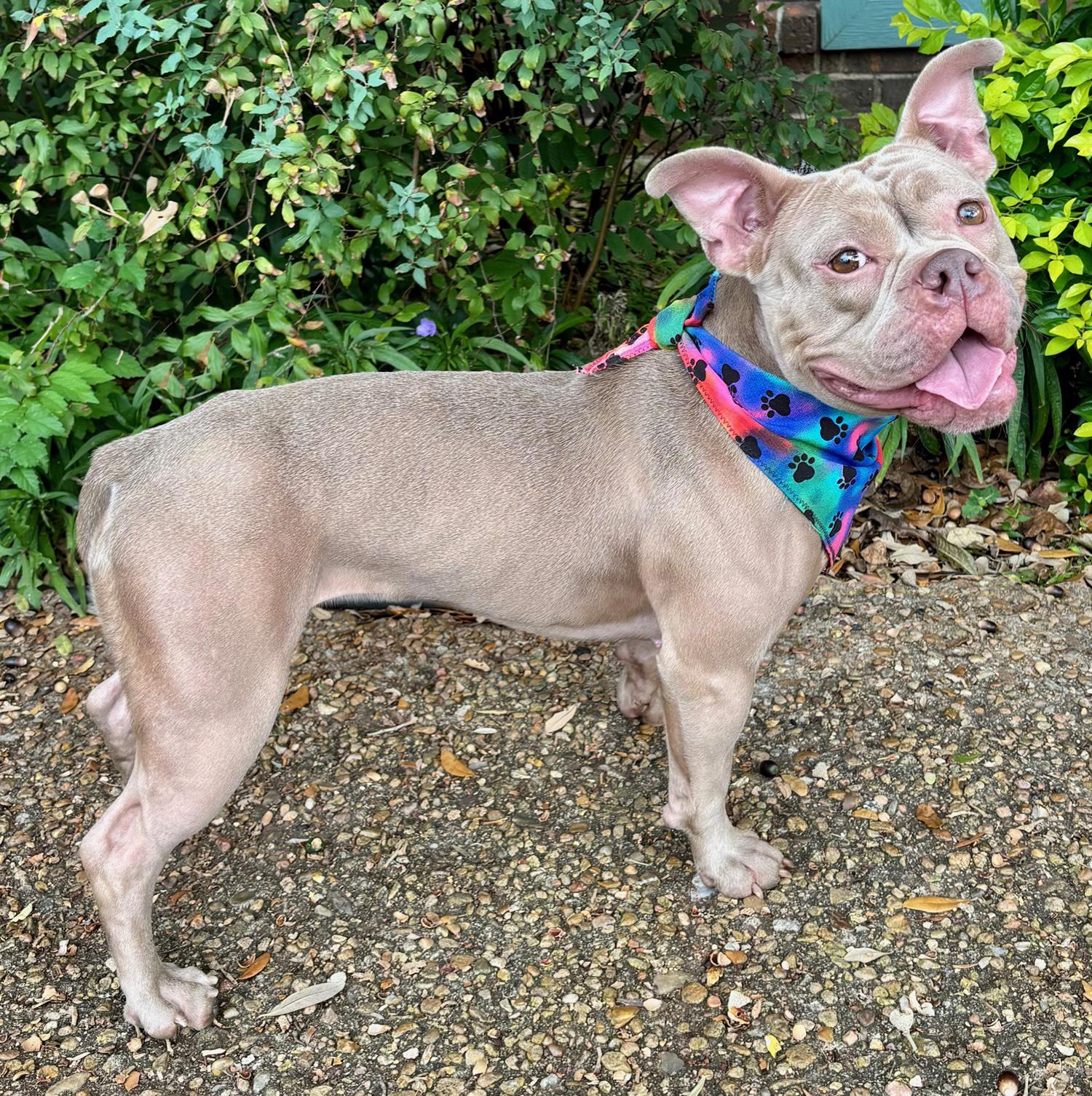 Sadie  Gorgeous Girl! thumbnail 5