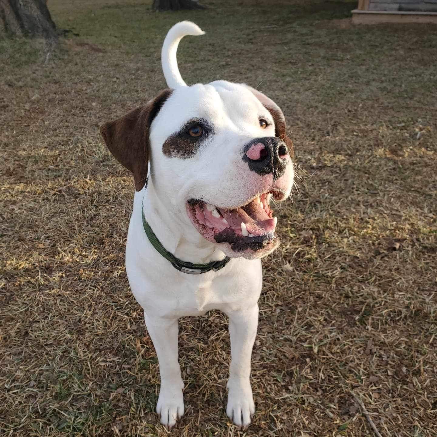 Gus