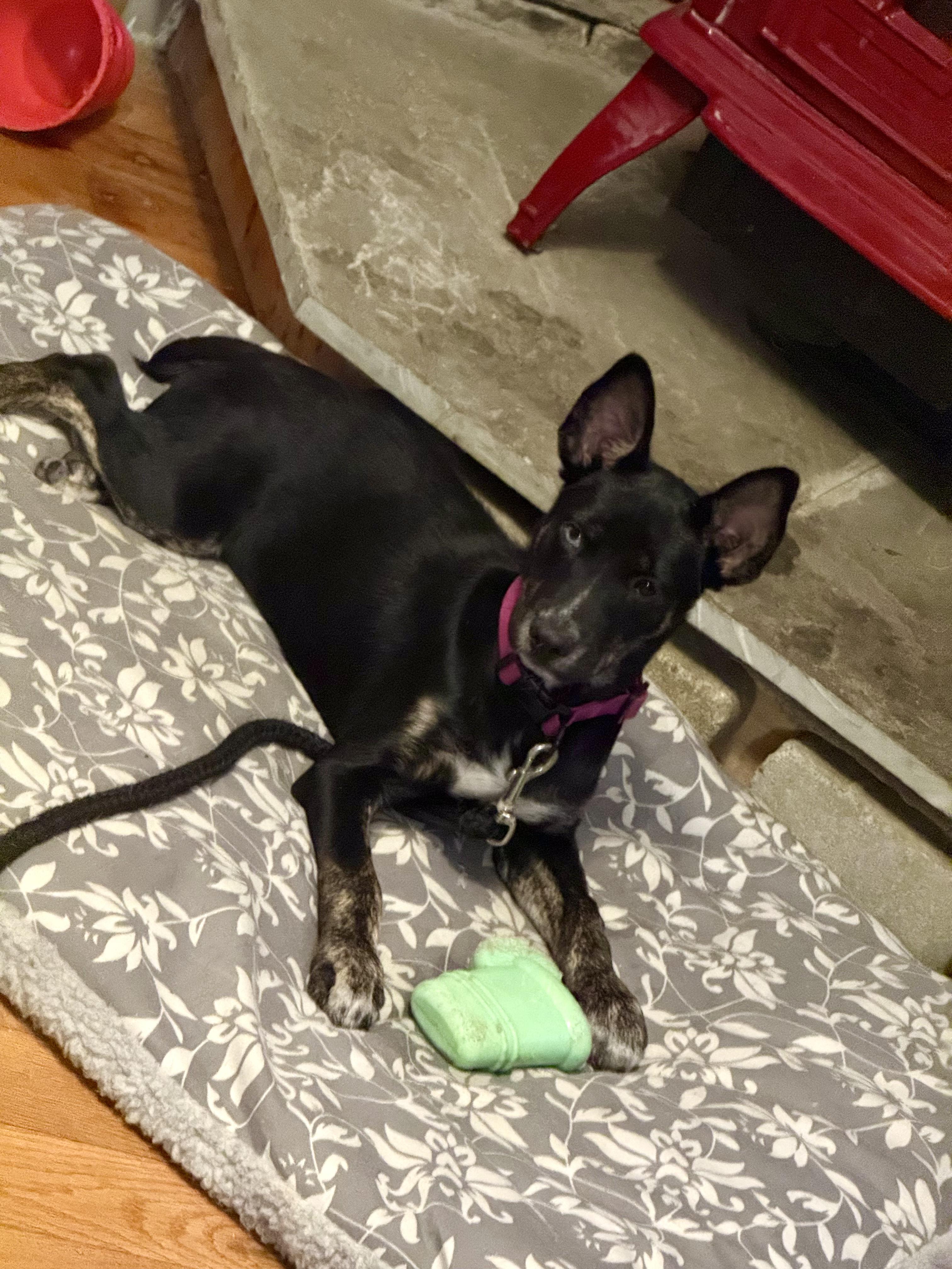 Chloe — thumbnail 3