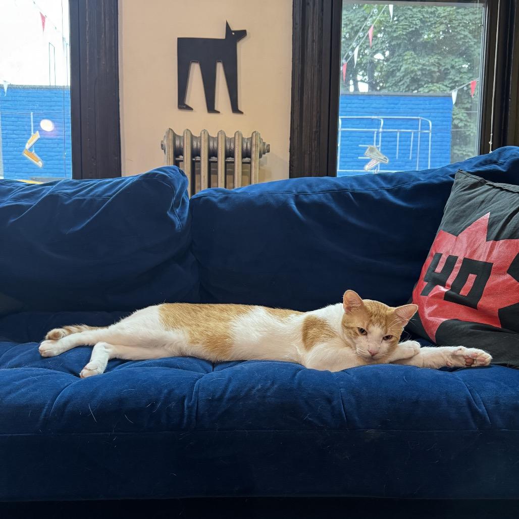 Colby Jack — thumbnail 6